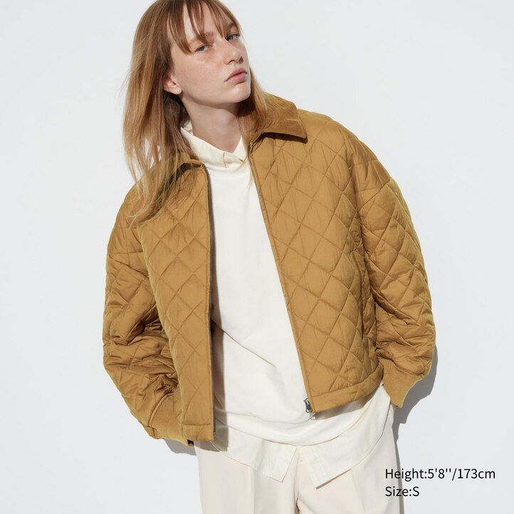 Brown Uniqlo Warm Padded Blouson | CPKIX-2415